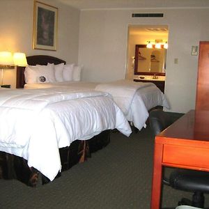 Zimmer mit Queensize-Bett